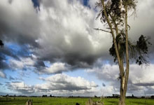 东契奇20分詹姆斯16分 湖人104-98击败火箭.