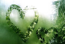 开云体育官网：DO：蓝军没有解雇马雷斯卡的意愿，唯一关注的是争夺欧冠资格.