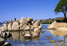 开云体育官网：吴艳妮打破女子60米栏全国纪录__财经头条.